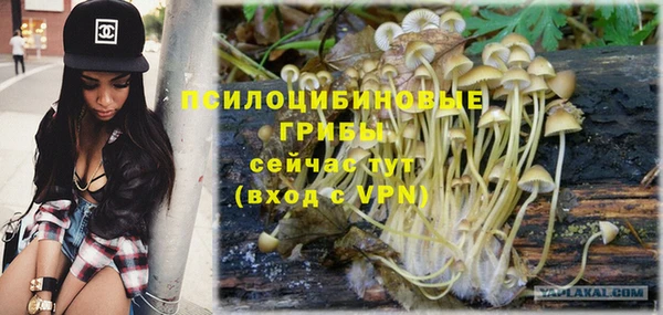 прущая мука Алзамай