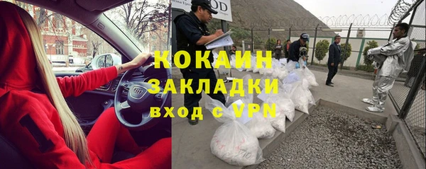 гидра Алексин