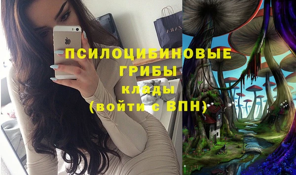 соль ск Абинск