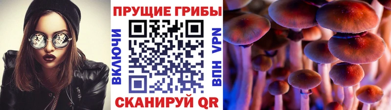 Галлюциногенные грибы мицелий Волоколамск