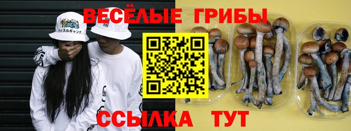 Псилоцибиновые грибы MAGIC MUSHROOMS Волоколамск